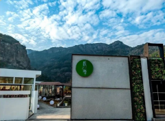传承铁皮枫斗技艺，枫之源以汉方打造食养新方式
